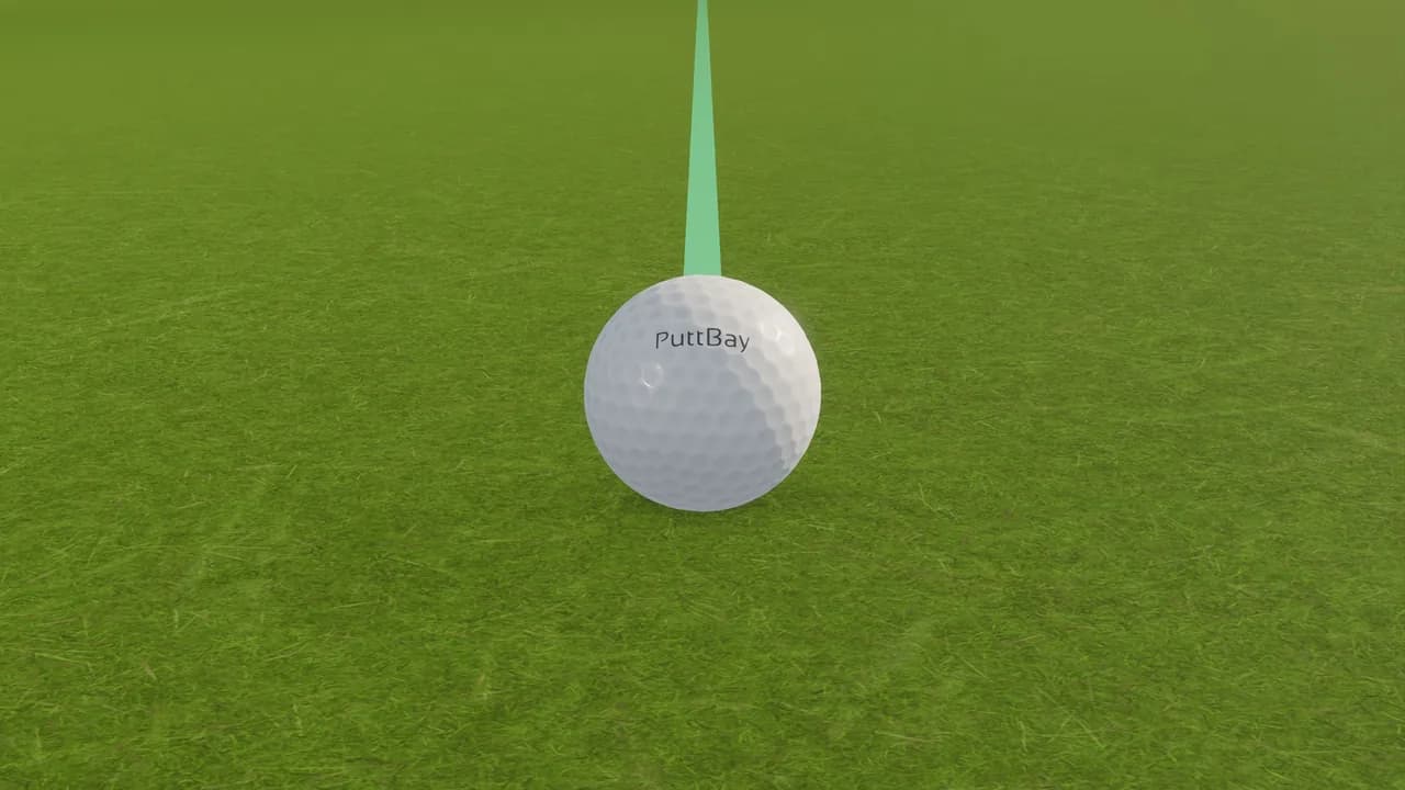 The PuttBay practice green: the ball at address on the turf, with the aim line